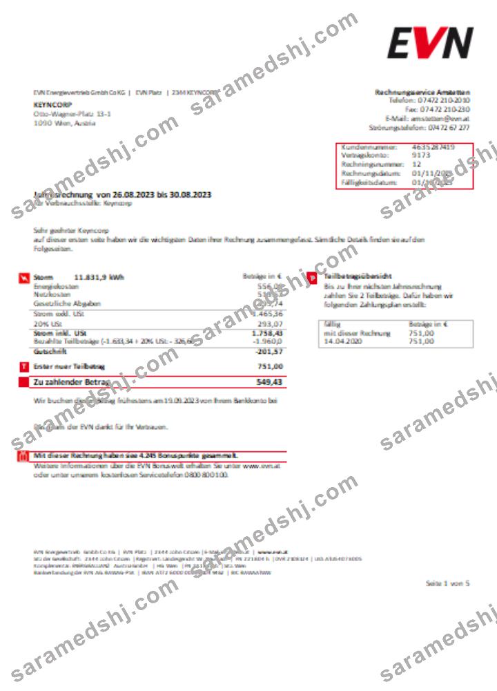 EVN electricity utility business bill, page 1 SCR